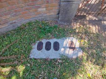 Se vende amplia finca de 3.6 hectáreas en Ángeles Heredia 24-1448 Se vende amplia finca de 3.6 hectáreas en Ángeles Heredia 24-1448