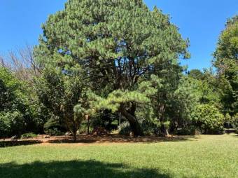 Se vende amplia finca de 3.6 hectáreas en Ángeles Heredia 24-1448 Se vende amplia finca de 3.6 hectáreas en Ángeles Heredia 24-1448