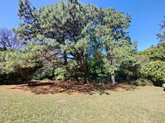 Se vende amplia finca de 3.6 hectáreas en Ángeles Heredia 24-1448 Se vende amplia finca de 3.6 hectáreas en Ángeles Heredia 24-1448