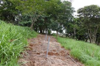 Se vende casa con lote de 3.1 hectáreas en carrillo de Alajuela 23-1977 Se vende casa con lote de 3.1 hectáreas en carrillo de Alajuela 23-1977