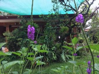 Se vende casa con lote de 3.1 hectáreas en carrillo de Alajuela 23-1977 Se vende casa con lote de 3.1 hectáreas en carrillo de Alajuela 23-1977