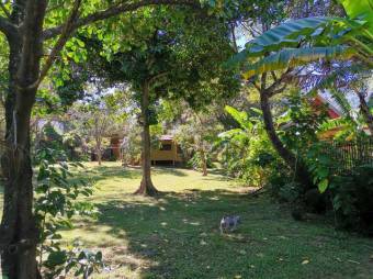 Se vende casa con lote de 2,220m2 en Rio Oro Santa Ana 23-1533 Se vende casa con lote de 2,220m2 en Rio Oro Santa Ana 23-1533