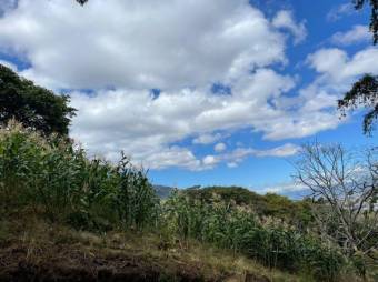 Se vende amplio lote de 16,200m2 en San Antonio Escazú 23-1737 Se vende amplio lote de 16,200m2 en San Antonio Escazú 23-1737