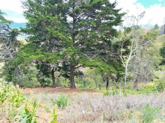 Se vende amplio lote de 16,200m2 en San Antonio Escazú 23-1737 Se vende amplio lote de 16,200m2 en San Antonio Escazú 23-1737