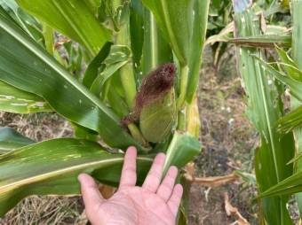 Se vende amplio lote de 16,200m2 en San Antonio Escazú 23-1737 Se vende amplio lote de 16,200m2 en San Antonio Escazú 23-1737