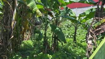 Se vende amplio lote con 1,012m2 en Zapote San José 25-147 Se vende amplio lote con 1,012m2 en Zapote San José 25-147