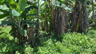 Se vende amplio lote con 1,012m2 en Zapote San José 25-147 Se vende amplio lote con 1,012m2 en Zapote San José 25-147