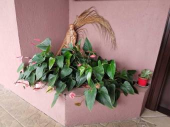 Se vende espaciosa casa con patio en San Rafael Escazú 23-516 Se vende espaciosa casa con patio en San Rafael Escazú 23-516