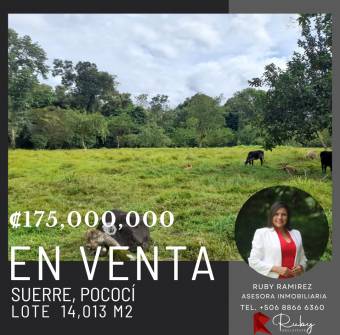 Terreno en Venta  en Suerre, Jiménez de Pococí