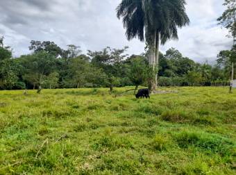 Terreno en Venta  en Suerre, Jiménez de Pococí
