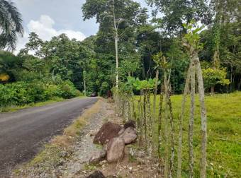 Terreno en Venta  en Suerre, Jiménez de Pococí