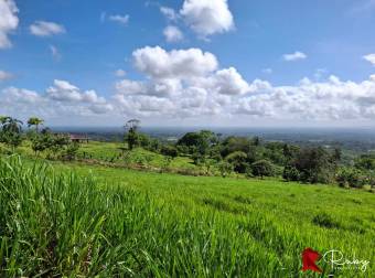 En VENTA Finca 1235 Hectáreas, Guacimo