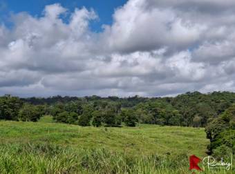 En VENTA Finca 1235 Hectáreas, Guacimo