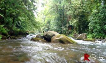 En VENTA Finca 1235 Hectáreas, Guacimo