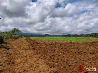 En VENTA Finca 1235 Hectáreas, Guacimo