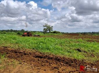 En VENTA Finca 1235 Hectáreas, Guacimo