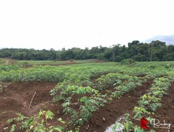 En VENTA Finca 1235 Hectáreas, Guacimo