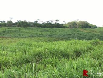 En VENTA Finca 1235 Hectáreas, Guacimo