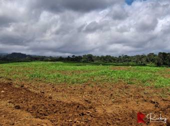 En VENTA Finca 1235 Hectáreas, Guacimo