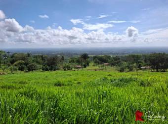 En VENTA Finca 1235 Hectáreas, Guacimo