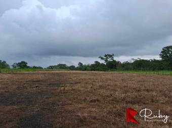 Ubicación estratégica frente a ruta 32, La Marina, Pococi