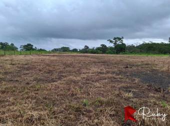 Ubicación estratégica frente a ruta 32, La Marina, Pococi