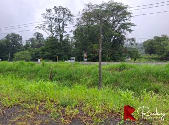 Ubicación estratégica frente a ruta 32, La Marina, Pococi