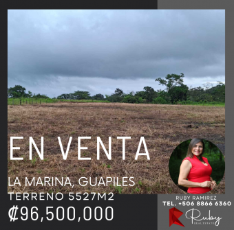 Ubicación estratégica frente a ruta 32, La Marina, Pococi