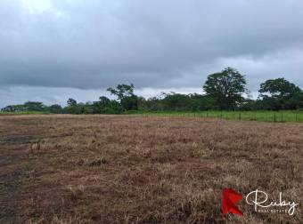 Ubicación estratégica frente a ruta 32, La Marina, Pococi
