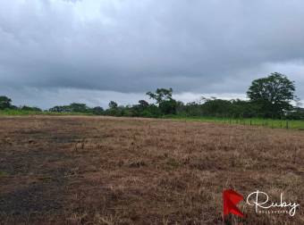 Ubicación estratégica frente a ruta 32, La Marina, Pococi