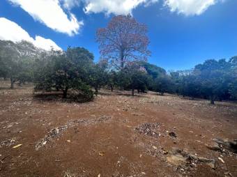 Se vende amplia finca con 14,700m2 en San José de Atenas 24-1428