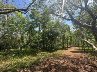 Se vende amplia propiedad con 18,900m2 en San Rafael de Puriscal 24-1482