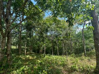 Se vende amplia propiedad con 18,900m2 en San Rafael de Puriscal 24-1482