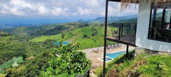 Se vende lujosa propiedad con 2 hectáreas en Atenas Alajuela 25-1651