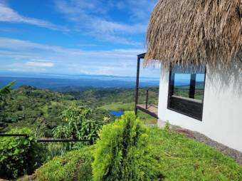 Se vende lujosa propiedad con 2 hectáreas en Atenas Alajuela 25-1651