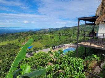 Se vende lujosa propiedad con 2 hectáreas en Atenas Alajuela 25-1651