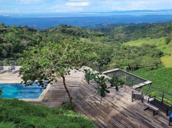 Se vende lujosa propiedad con 2 hectáreas en Atenas Alajuela 25-1651