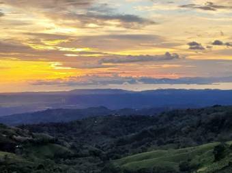 Se vende lujosa propiedad con 2 hectáreas en Atenas Alajuela 25-1651