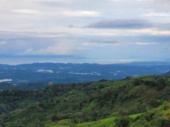 Se vende lujosa propiedad con 2 hectáreas en Atenas Alajuela 25-1651