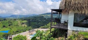 Se vende lujosa propiedad con 2 hectáreas en Atenas Alajuela 25-1651