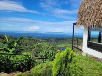 Se vende lujosa propiedad con 2 hectáreas en Atenas Alajuela 25-1651