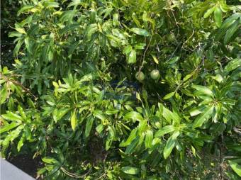 Venta De Casa, San José, Escazú, Guachipelín, Calle Guachipelín