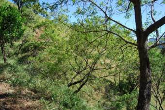 Se vende amplia finca de 2 hectáreas en Rio Oro Santa Ana 23-3341