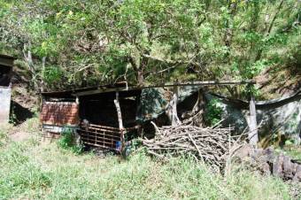 Se vende amplia finca de 2 hectáreas en Rio Oro Santa Ana 23-3341