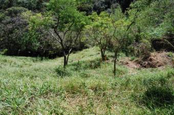 Se vende amplia finca de 2 hectáreas en Rio Oro Santa Ana 23-3341