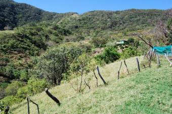 Se vende amplia finca de 2 hectáreas en Rio Oro Santa Ana 23-3341