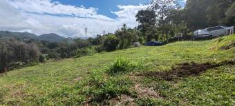 MLS-26-108 LS VENTA LOTE ZARAGOZA PALMARES