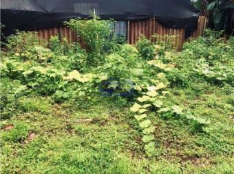 Venta De Finca, Alajuela, Orotina, Hacienda Vieja