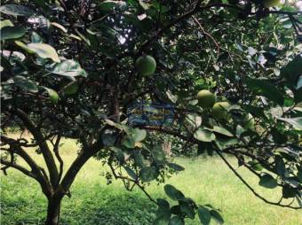 Venta De Finca, Alajuela, Orotina, Hacienda Vieja