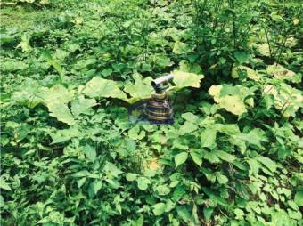 Venta De Finca, Alajuela, Orotina, Hacienda Vieja